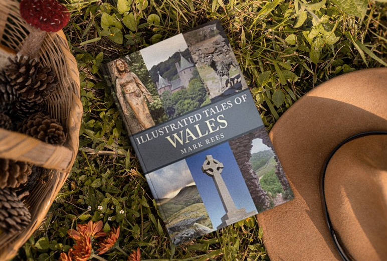 Illustrated Tales Of Wales - Mark Rees