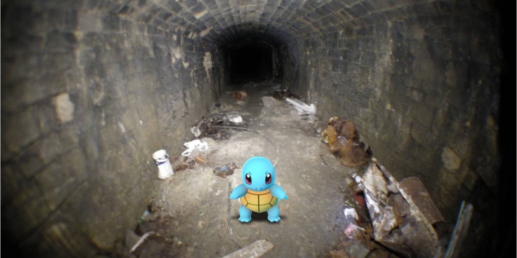 Pokemon In Box Quarry
