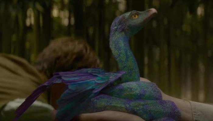 Occamy in Fantastic Beasts And Where To Find Them