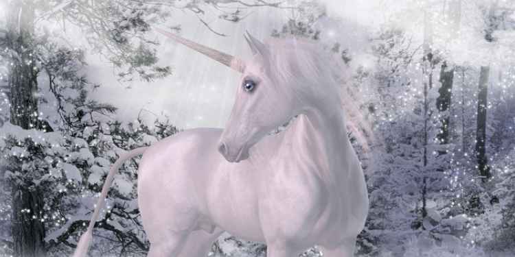 I Love Unicorns Trivia Quiz | Higgypop Paranormal