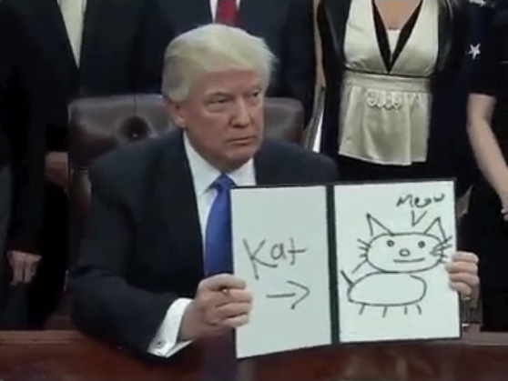 Donald Trump Kat Drawing