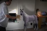 How To Grow A Unicorn With A Potion