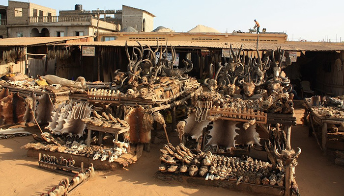 Akodessewa Fetish Market, Togo