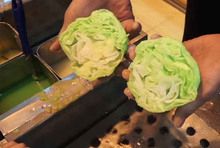 Chinese Fake Cabbage