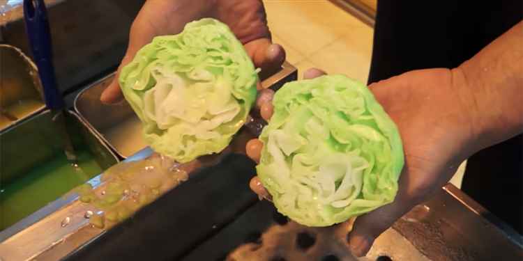 Chinese Fake Cabbage