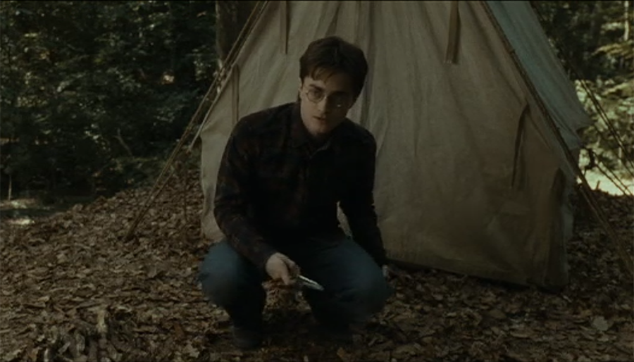 Forest Of Dean in Harry Potter