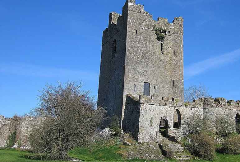 Clonony Castle, County Offaly
