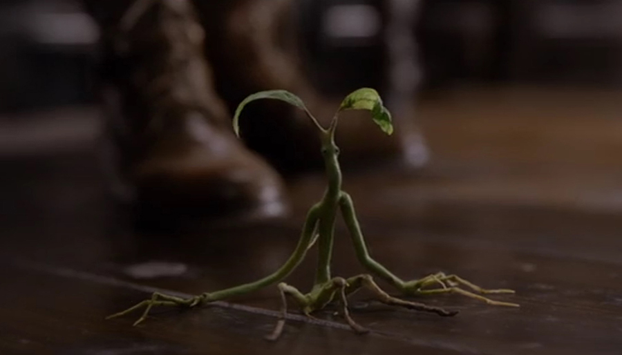Bowtruckle - Fantastic Beasts The Crimes Of Grindelwald