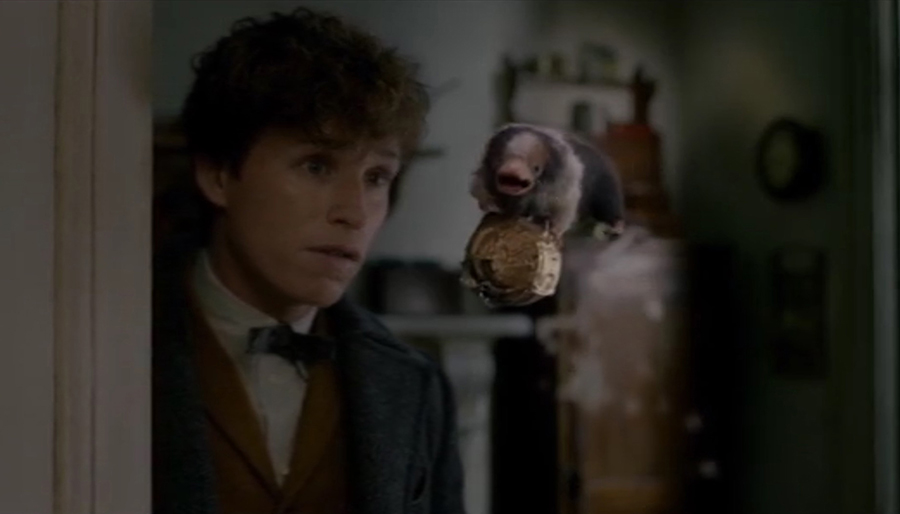 Baby Nifflers - Fantastic Beasts The Crimes Of Grindelwald