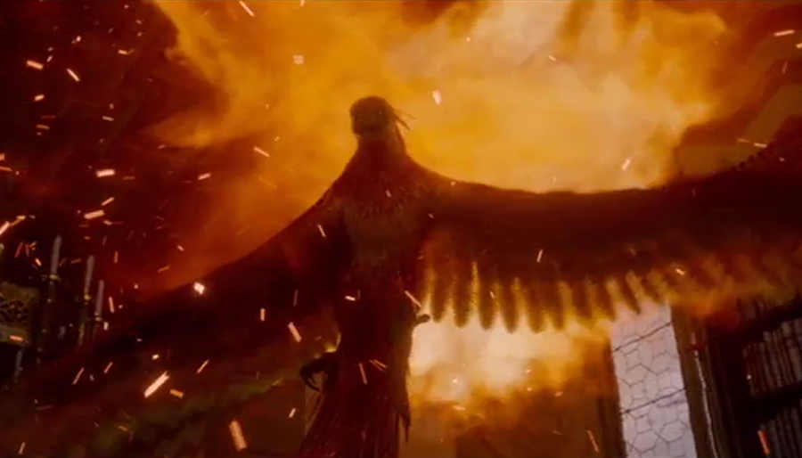 Phoenix - Fantastic Beasts The Crimes Of Grindelwald