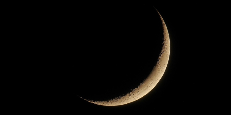 New Moon - Black Moon