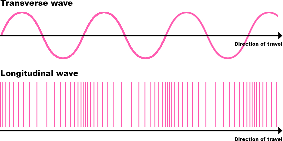 Longitudinal Wave & Transverse Wave