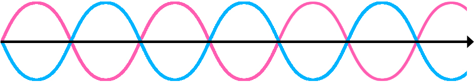 Transverse Wave Out Of Phase