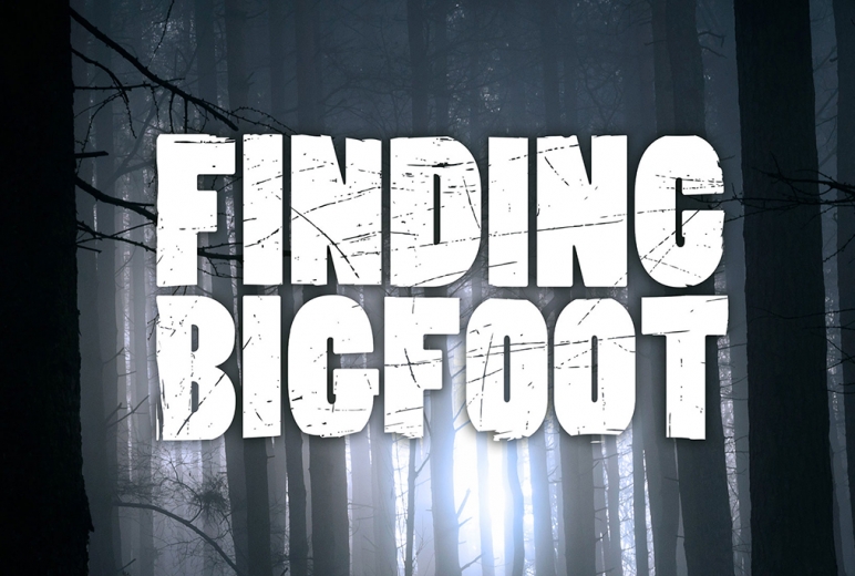 Finding Bigfoot: The Search Continues