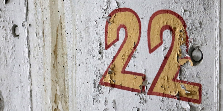 Number 22 Numerology