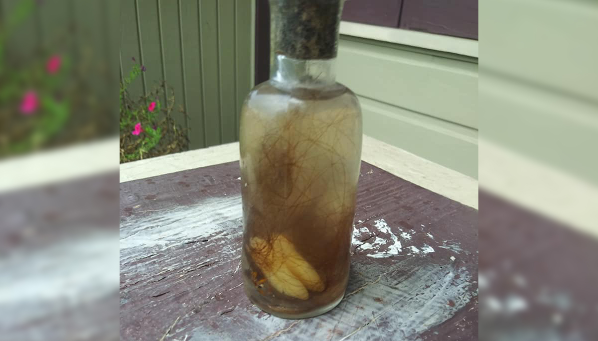 Eerie 'Witch Bottle' Dug Up In New Orleans