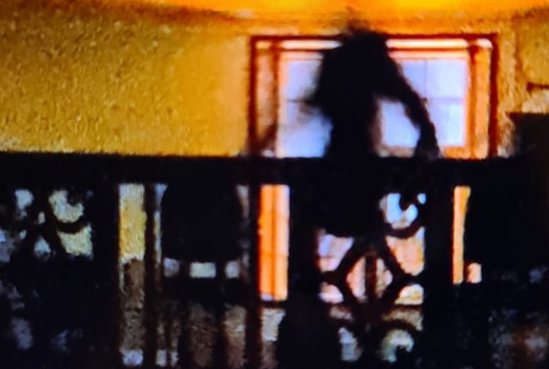 Shadow Figure Captured At Charlton House