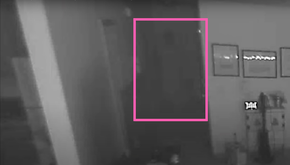 Ghost Scares Cats On CCTV