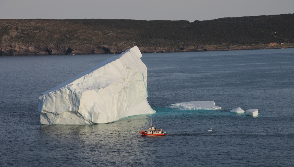 Iceberg in Newfoundland
