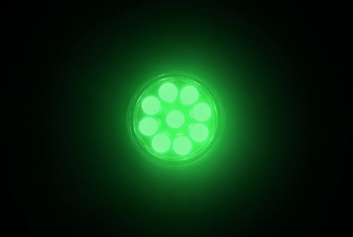 Green LED Flashlight Coloured Torch