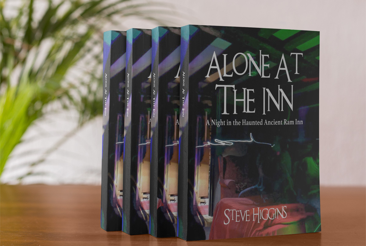 Alone At The Inn - Steve Higgins