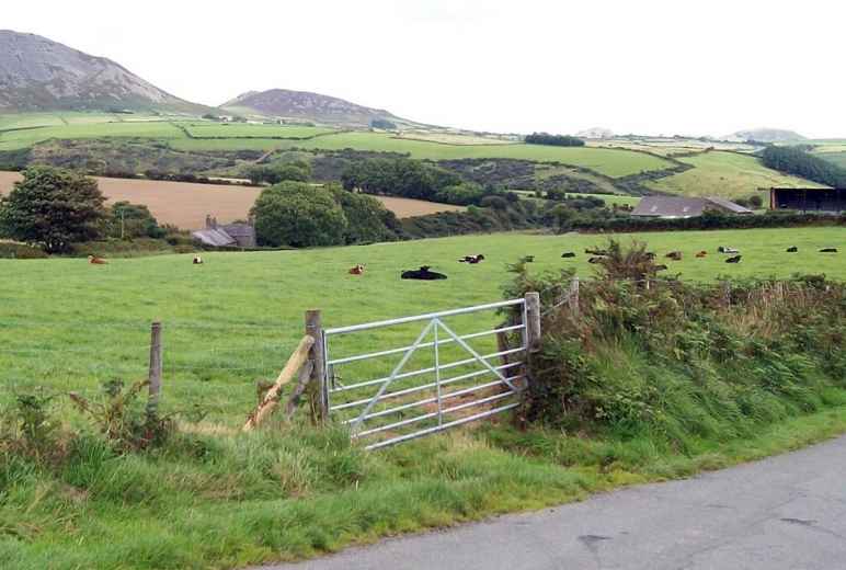 Remote Welsh Farm