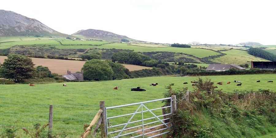 Remote Welsh Farm